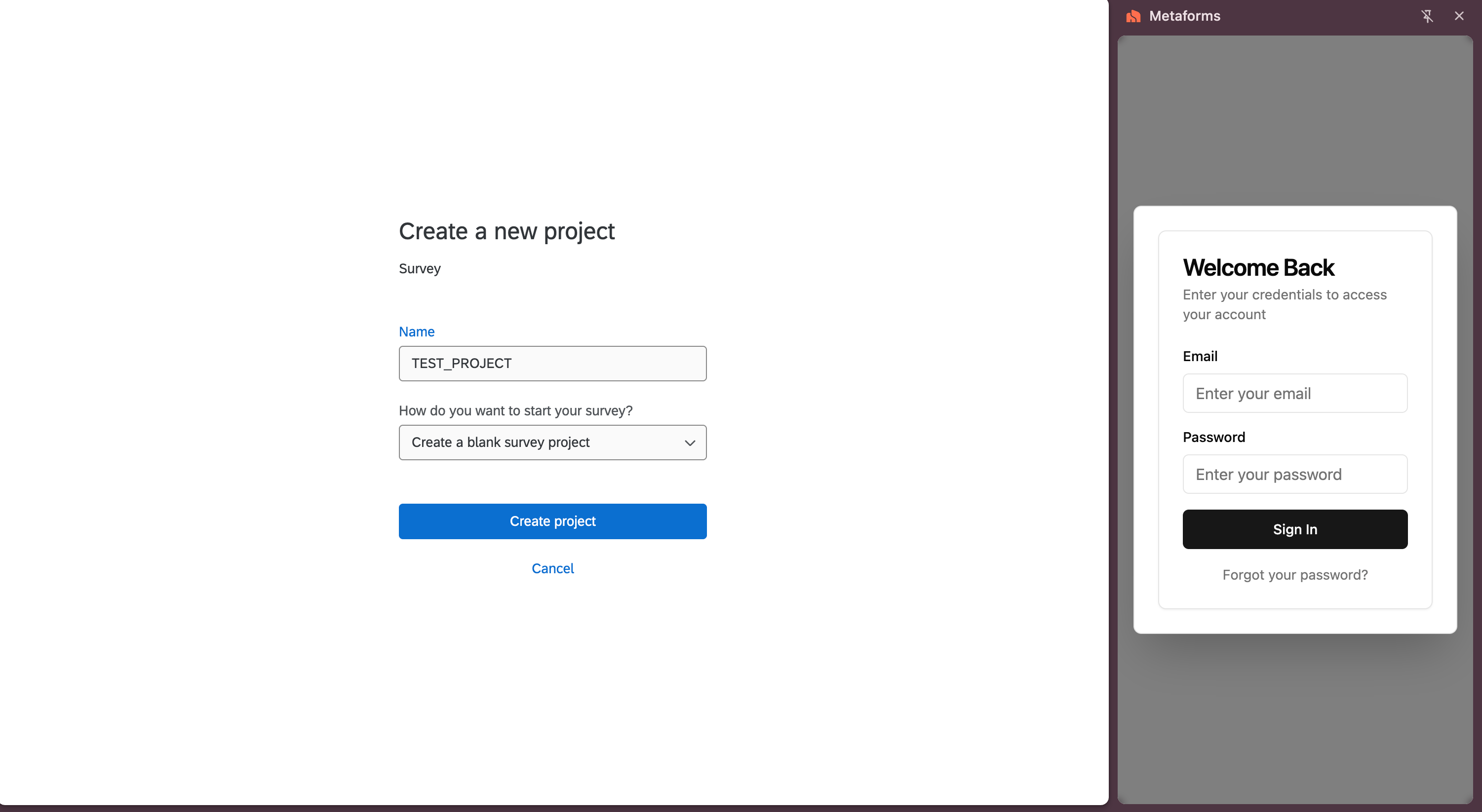 Open the Metaforms extension